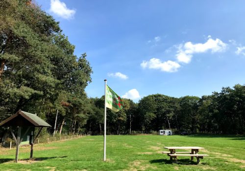 Natuurcamping De Dellen