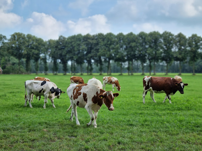 Vakantiewoning 'De Smid'