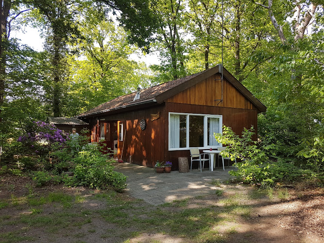 Natuurhuisje Boompieper