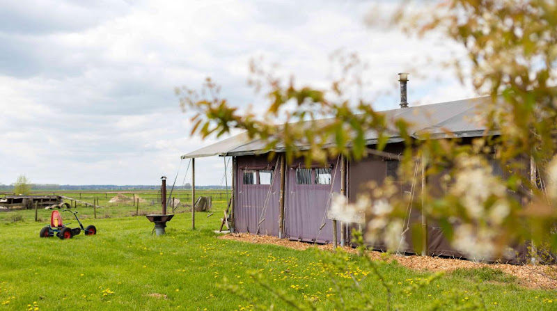 Feather Down De Kalverweide