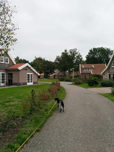 Hooge Hexel