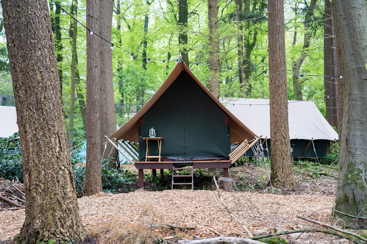 Burgers' Zoo Camp