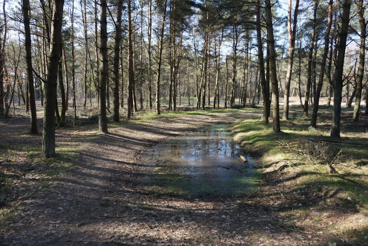 Het Rommelgebergte