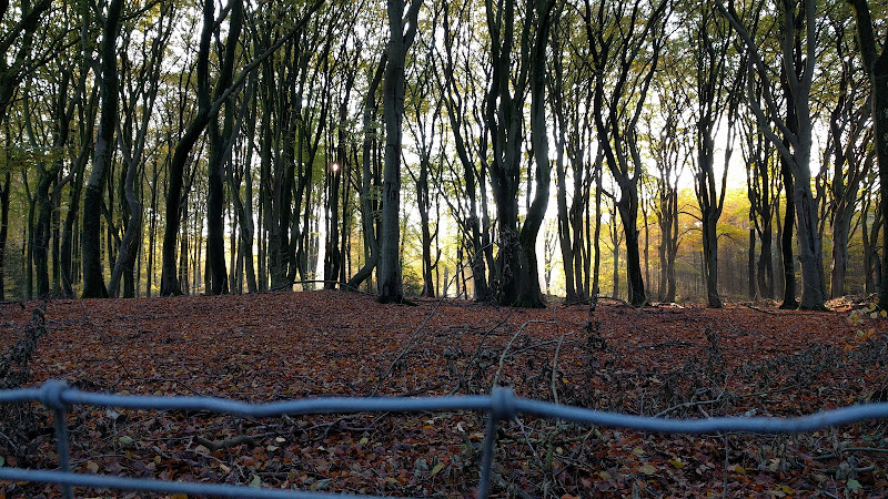 Camping ’t Binnenveld