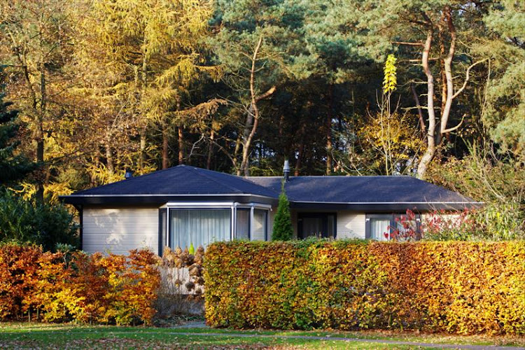 Parkcamping ‘t Ravenest (Chaletpark en Kamperen)