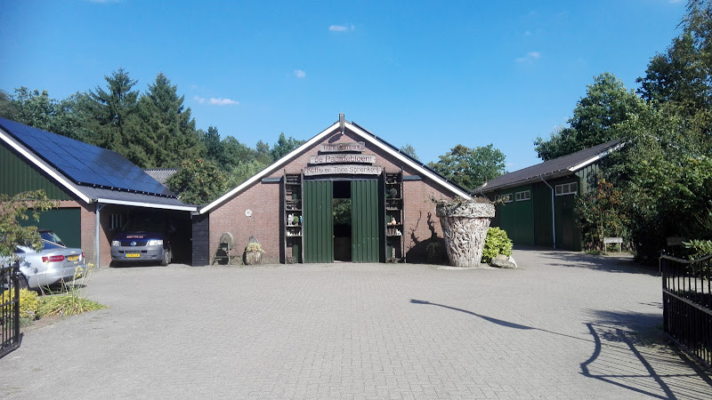 Minicamping de Paardebloem