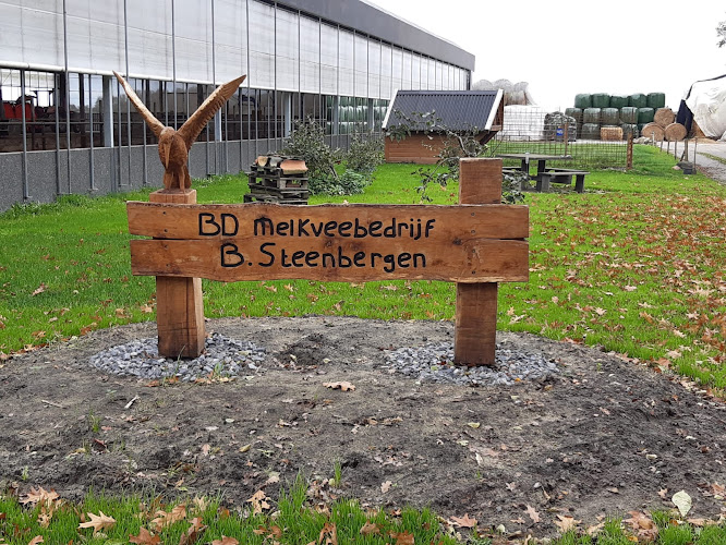 B. Steenbergen