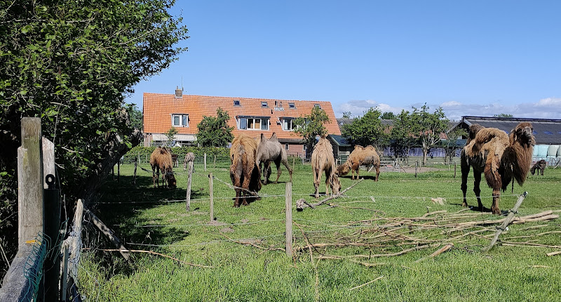 Boerderij "De Boterbloem" V.O.F.