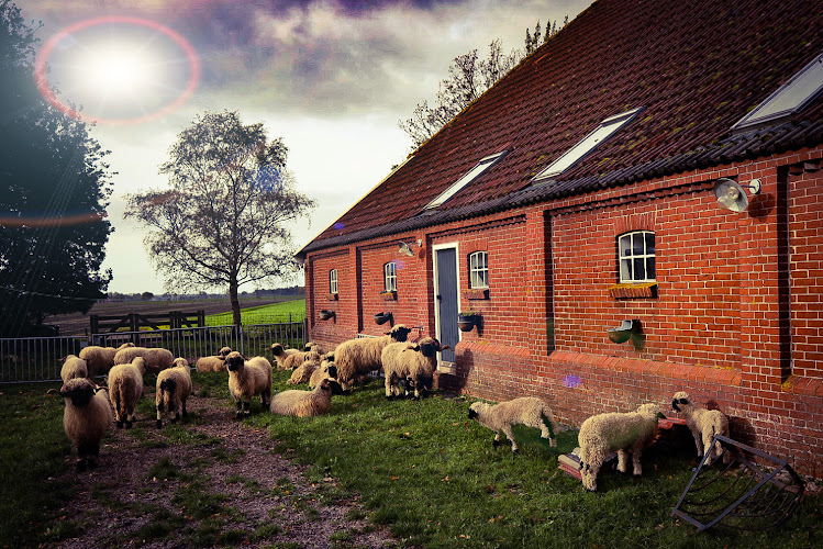 Bed & Breakfast Aan Eekst