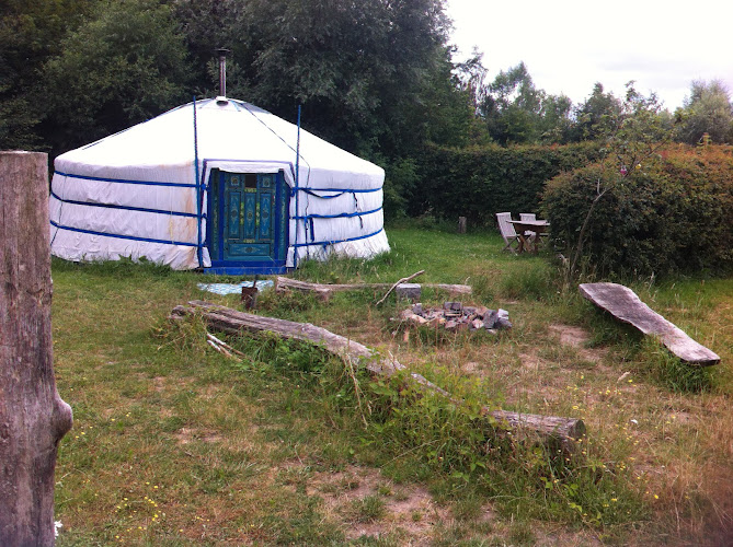 Ecostay de Wildernis