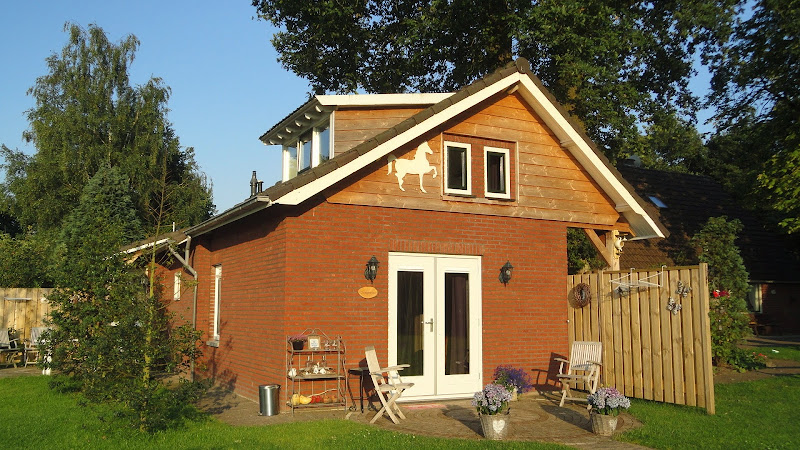 Het Wierdense Veld