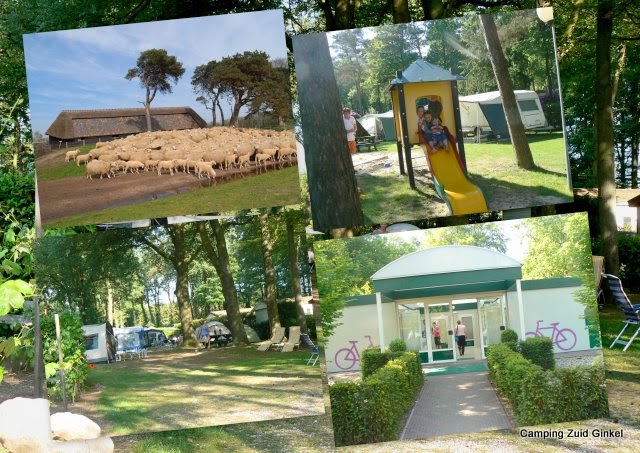 Camping Zuid Ginkel