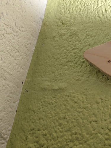 Limburgse Peel 652