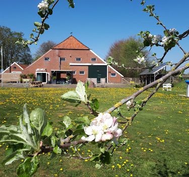 Natuurlijk Mooi Onstwedde
