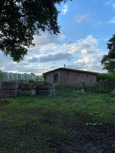 Camping het Leersumse Veld