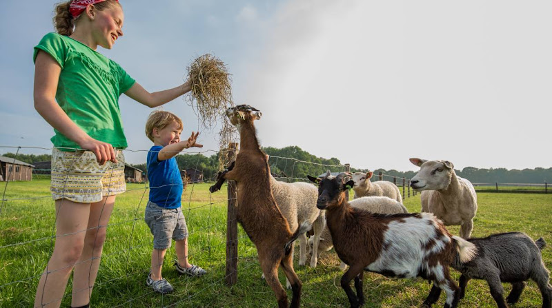 Feather Down Mariahout in de Hei