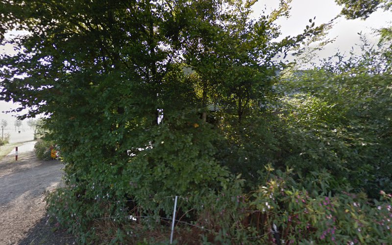 Camping Klein Hanenveld