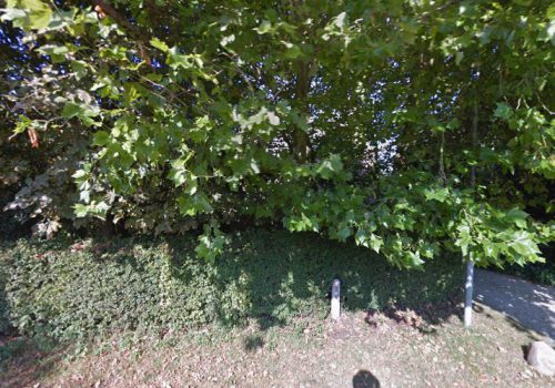 Vakantiehuis Authentiek koetshuis in Deil omringd door een boomgaard